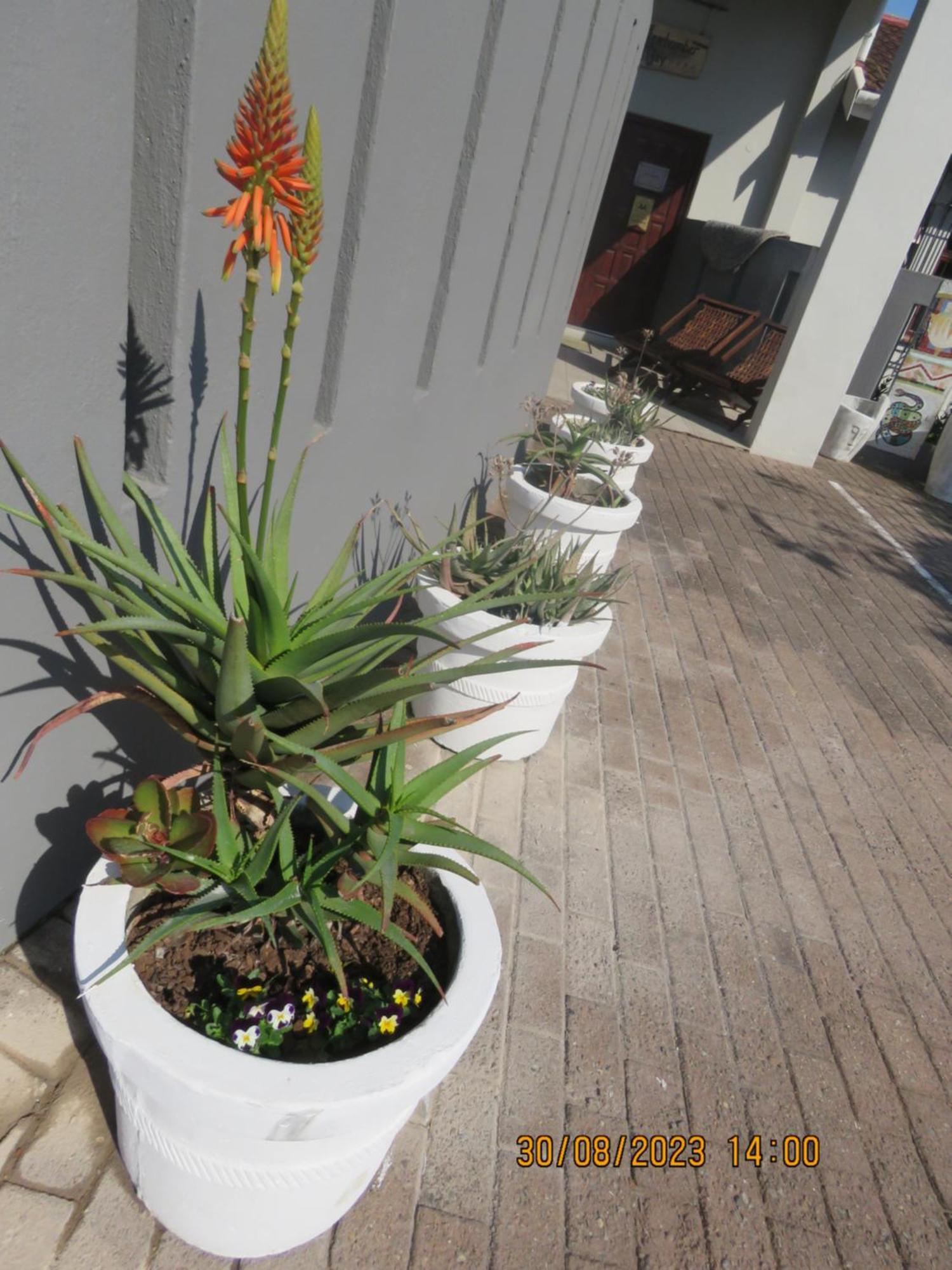 Beachcomber Bay Guest House In South Africa Margate Exterior photo